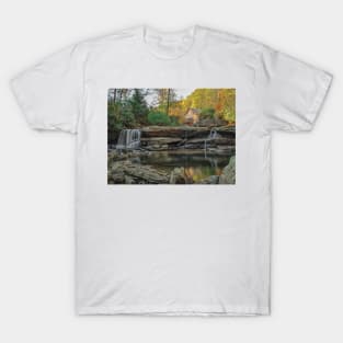 Fall Babcock T-Shirt